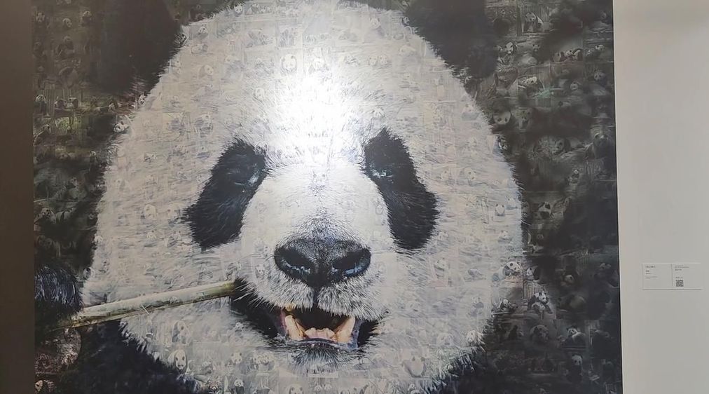 探馆成都大运会丨这座美术馆藏满了大熊猫(图2)