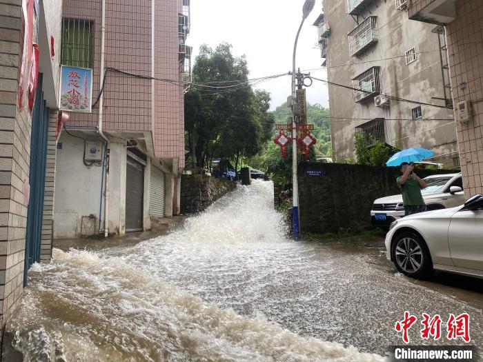 暴雨袭福建宁德 多处受淹（图）(图3)