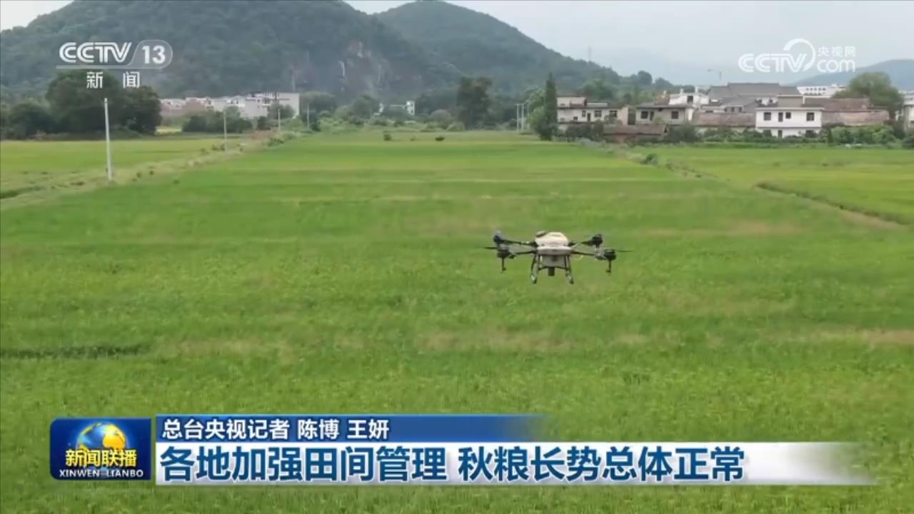 各地加强田间管理 秋粮长势总体正常(图3)