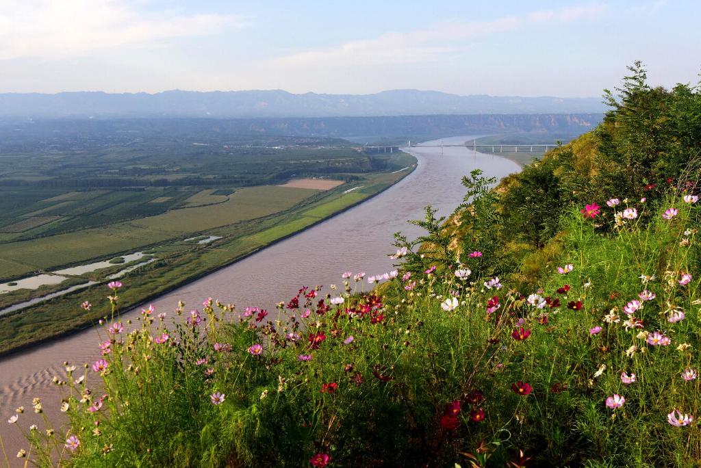 新时代中国调研行・黄河篇丨黄、绿、红三色看黄河沿岸变化(图1)