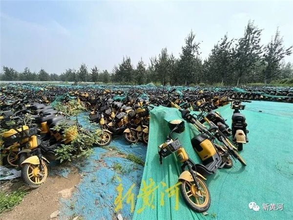 河北石家庄电单车乱象调查：大量无牌车上路，市场准入先立后废(图3)