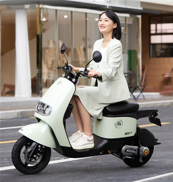 鲁大师电动车智能化测评报告第二十二期：电自市场开“卷”，九号 MMAX110 扩大优势(图13)