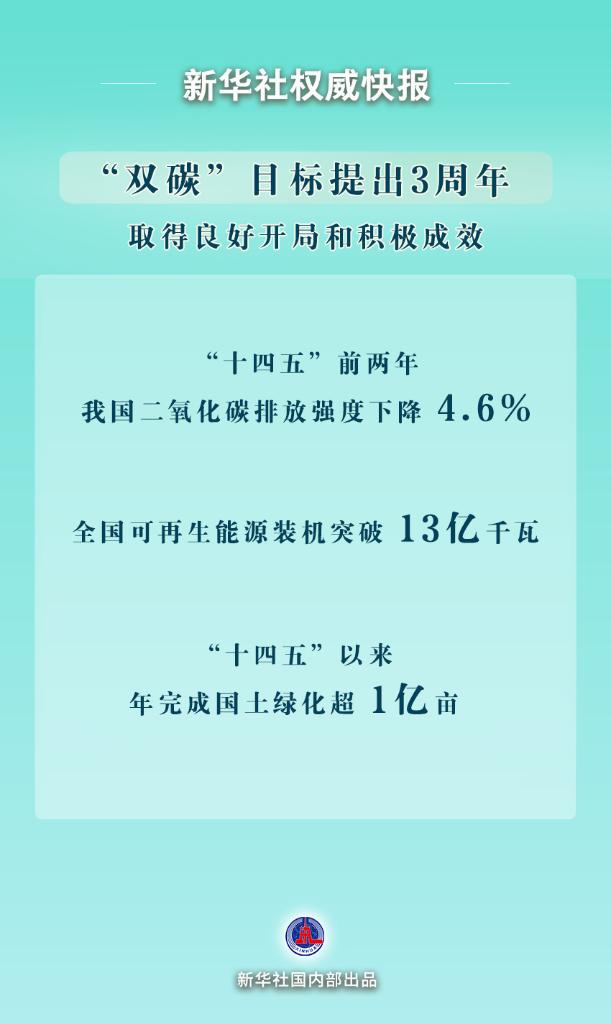 “双碳”目标提出3周年取得积极成效(图1)