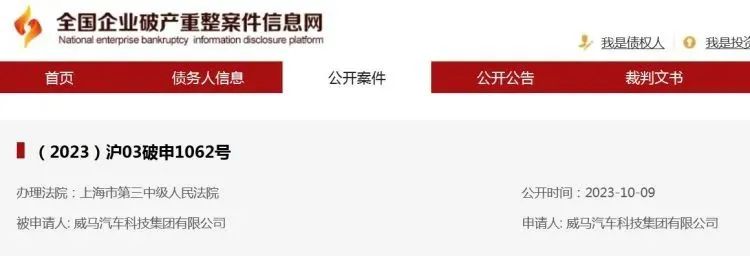 创始人沈晖成功出海，威马汽车却没出海