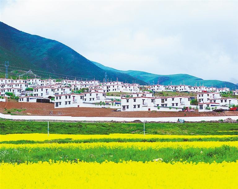 阳光拉萨(图4)