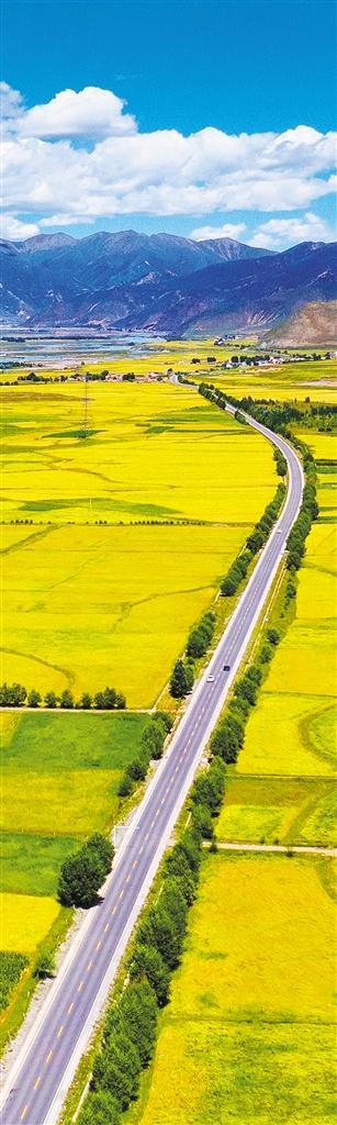 阳光拉萨(图2)