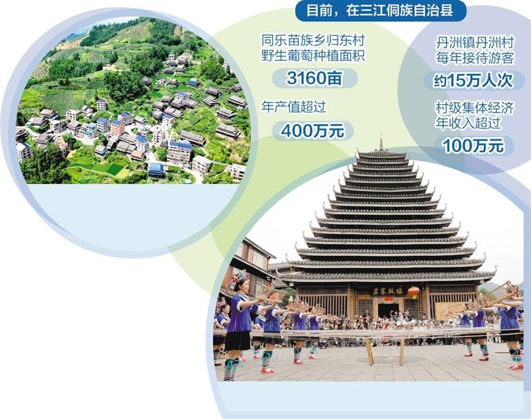 广西三江带动村民居家就业创业――农家院里培育致富产业