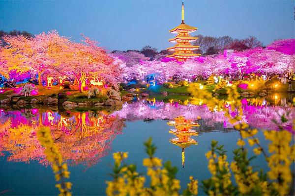 武汉樱花最佳观赏时间2024