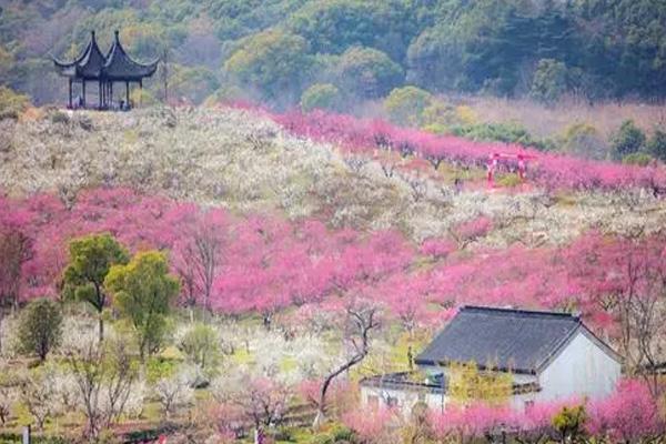 2024张家港香山梅花节门票多少钱