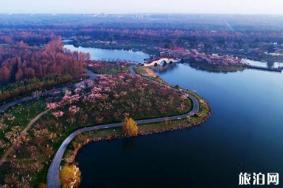 2024上海梅花节时间+地点+门票+交通+介绍