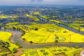 2024年重庆潼南菜花节什么时候举行 时间-地点-门票