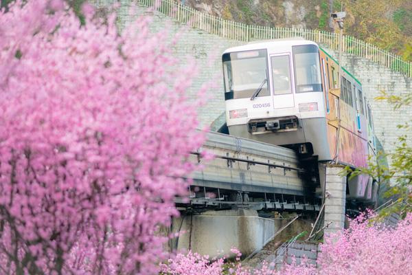 重庆开往春天的列车是几号线
