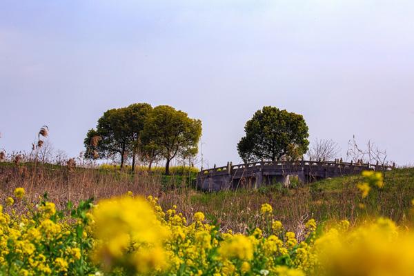 苏州春季赏花景点有哪些