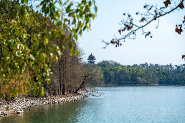 天目湖山水园一日游攻略 附最佳游玩路线