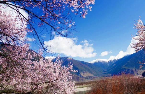 2024林芝桃花节时间 林芝桃花赏花攻略