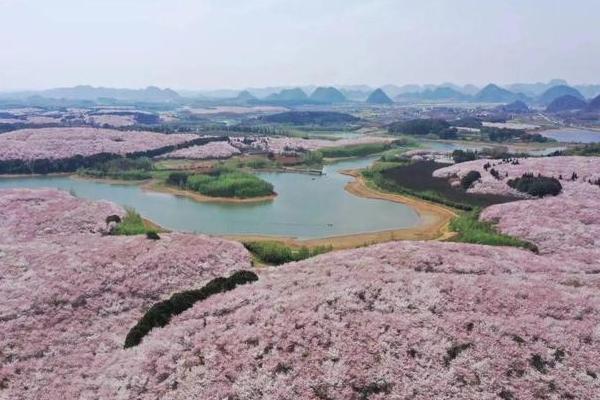 贵阳春季赏花地点有哪些