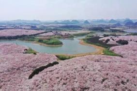 贵阳春季赏花地点有哪些