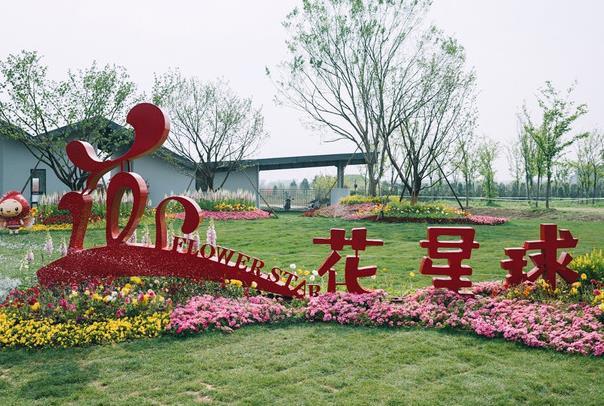 无锡春天哪里好玩