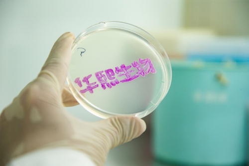 发展新质生产力 华熙生物布局合成生物引领行业高质量发展		(图2)