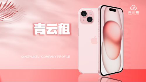 青云租：入选中国共享经济十大标杆企业，中国品牌影响力十大创新榜样人物		(图2)