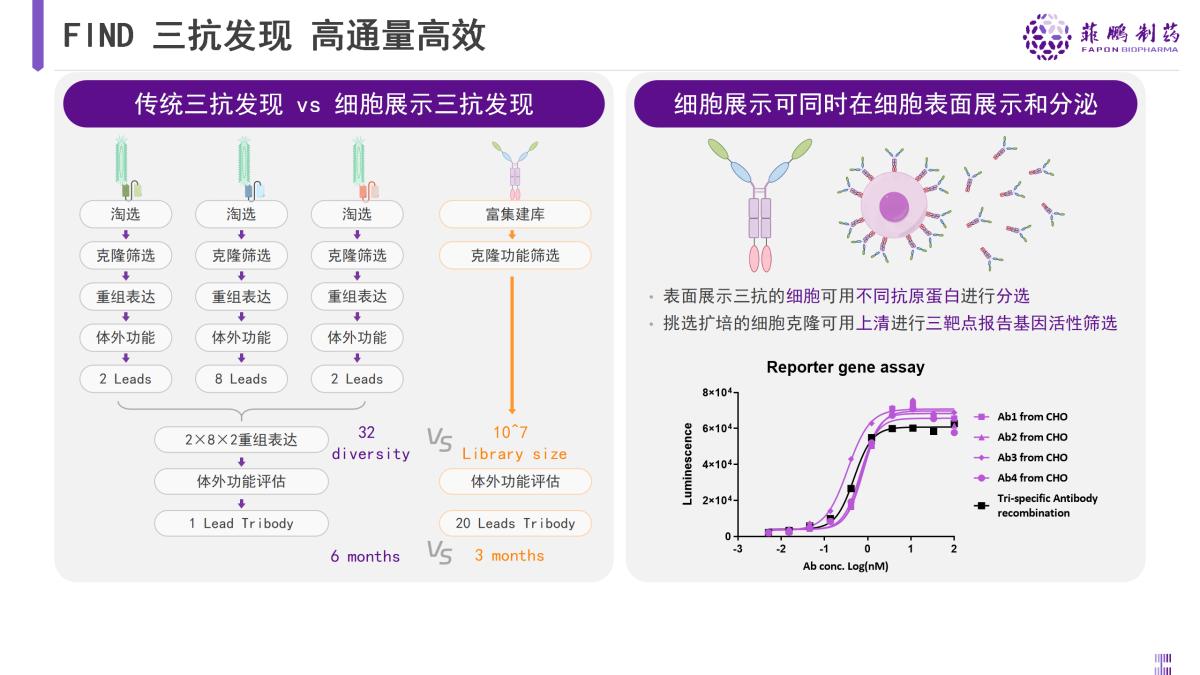 
			菲鹏制药亮相BIOCHINA2024，分享创新哺乳动物细胞展示技术平台
		(图3)