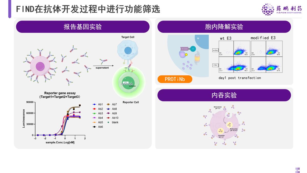 
			菲鹏制药亮相BIOCHINA2024，分享创新哺乳动物细胞展示技术平台
		(图4)