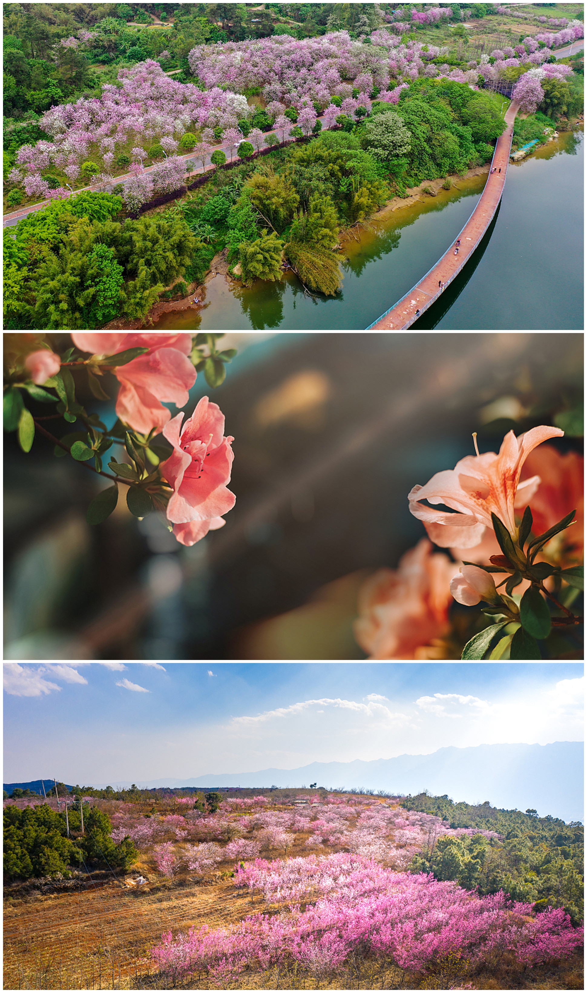 《春暖花开的中国》开播 绘就美丽中国春景图(图2)
