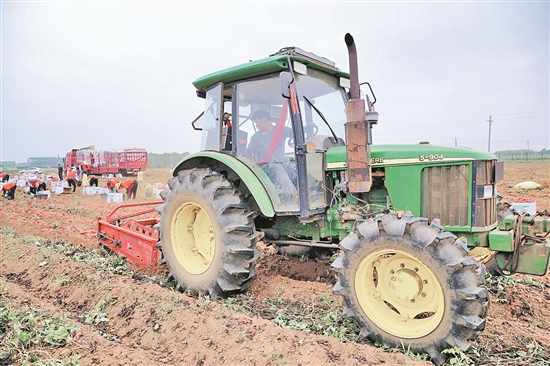 
			看“中国第一甜县”的“广薯”新探索
		(图2)