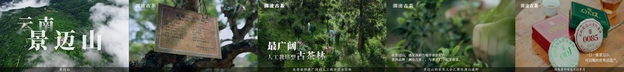 场景营销为品牌生意加码！抖音商城「这！就是宝藏茶饮」引爆“春茶热”(图9)