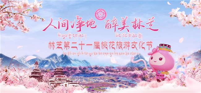 林芝第二十一届桃花节盛大开幕，全景式文旅升级擦亮“青春林芝”品牌名片(图1)