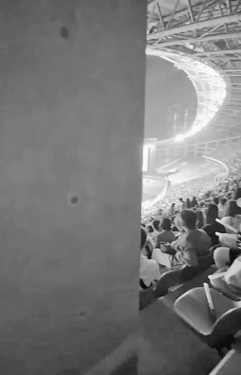 柱子票”“栏杆票”频现 消费者权益遭遇大麦网“柱子”阻挡(图1)