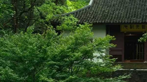 玉玲珑：新绿(图1)