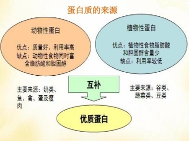 补充蛋白质提高免疫力吃什么：科学合理摄入优质蛋白质(图3)