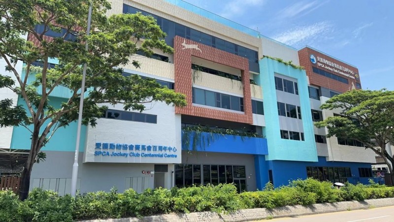 IGG鹦鹉携手香港SPCA协会，共筑动物福祉
