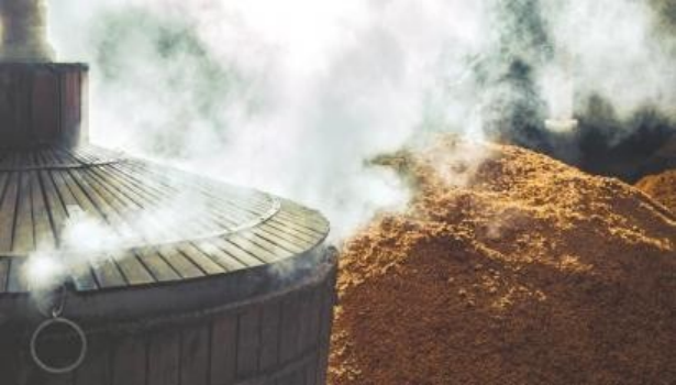 水井坊长期主义引领，全力推进健康可持续发展战略