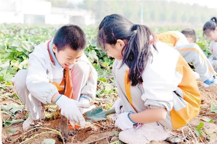 SHPGuFGOSR1zNite.png image.png