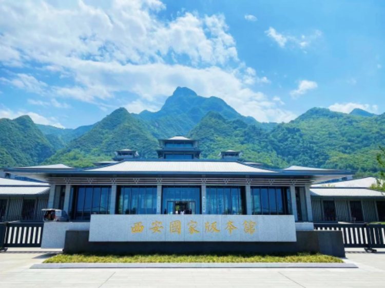 Csy5B2GkZm16tmvr.png image.png