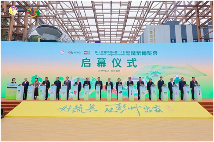 VX26SooV9DnCD8QV.png image.png