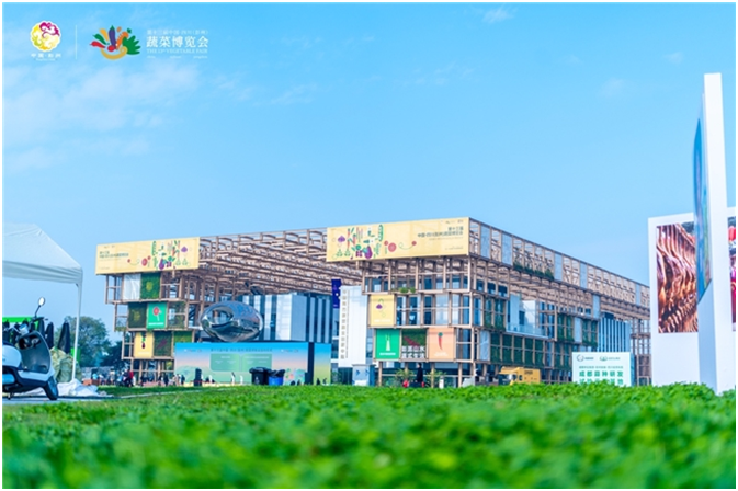 QR0oDgpTUJkN6pMv.png image.png