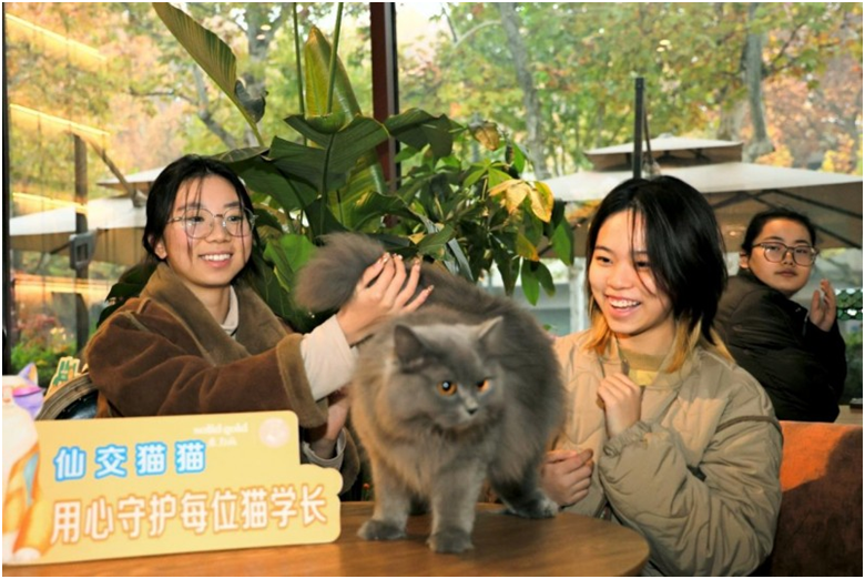 aQ0Nlqjd2rND3mxy.png image.png