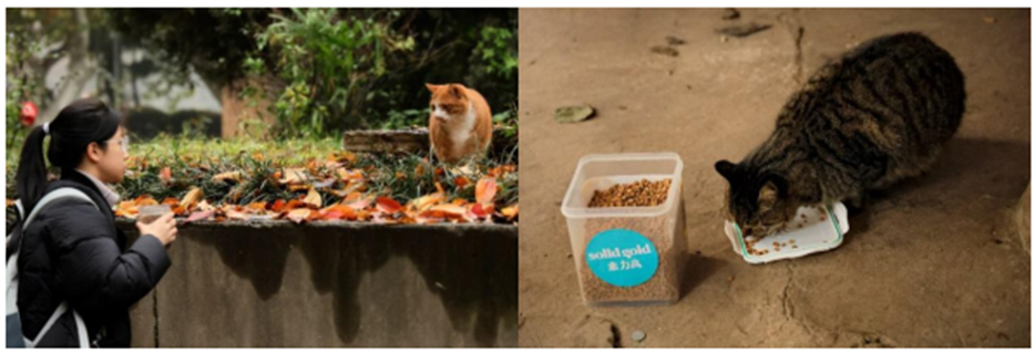 SUbvAK43Spc6bbgQ.png image.png