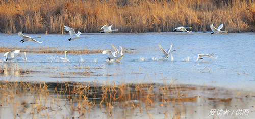 山东济南:打造黄河流域重要的中心城市(图2) 山东济南:打造黄河流域重要的中心城市(图2)