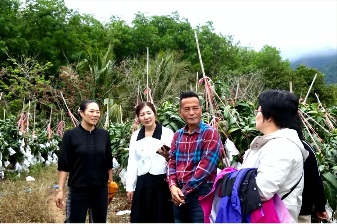 山海联动！晋琼康养新生态链，“健康家园”在海南！(图10)