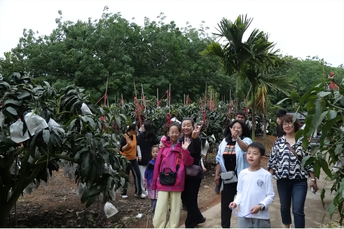 山海联动！晋琼康养新生态链，“健康家园”在海南！(图19)