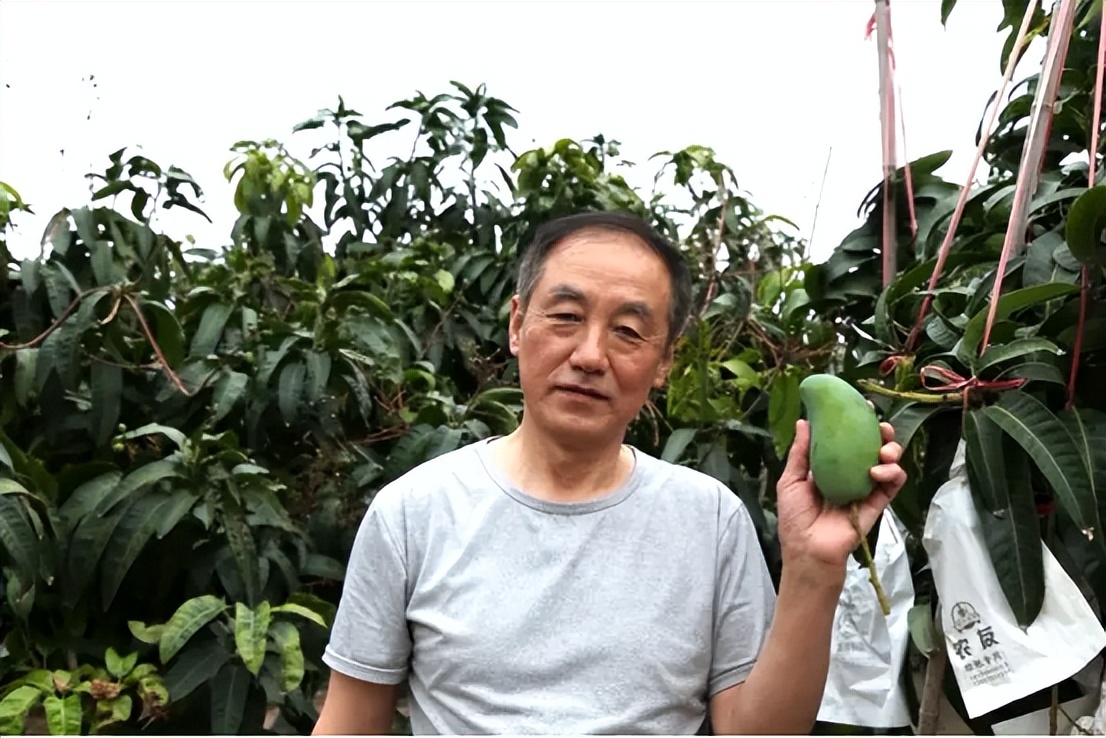 山海联动！晋琼康养新生态链，“健康家园”在海南！(图22)