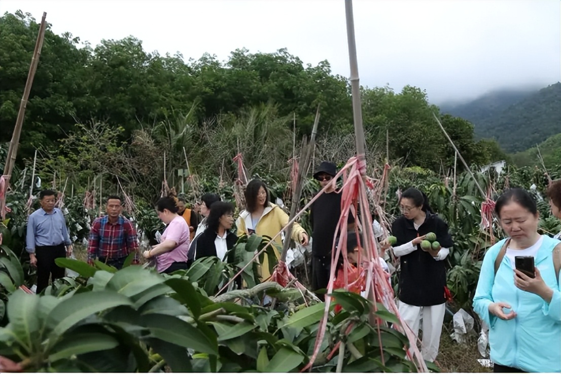 山海联动！晋琼康养新生态链，“健康家园”在海南！(图24)