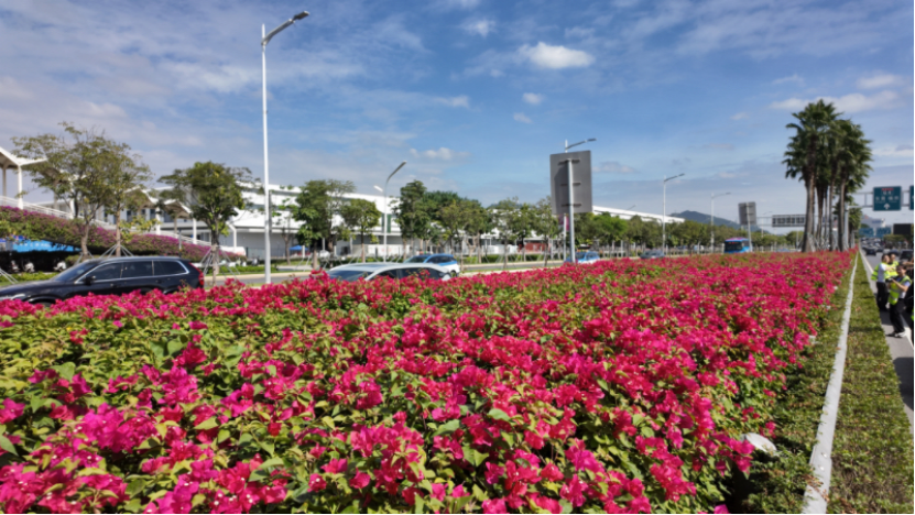 MbBajLugFL315vaO.png image.png