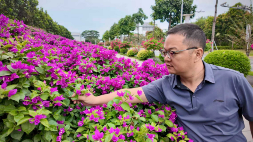 xmlace77WvT1ejM8.png image.png