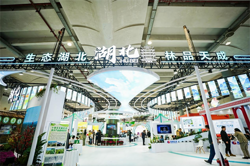 2025年世界林木业大会暨2025年广西国际林产品及木制品展盛大举办(图10) 图片11.png