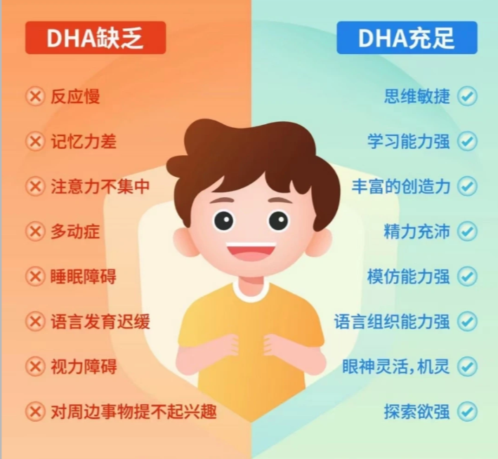 补脑 DHA 哪个牌子好?成分、吸收率、安全性、性价比四维科学解析(图1) 补脑 DHA 哪个牌子好?成分、吸收率、安全性、性价比四维科学解析(图1)